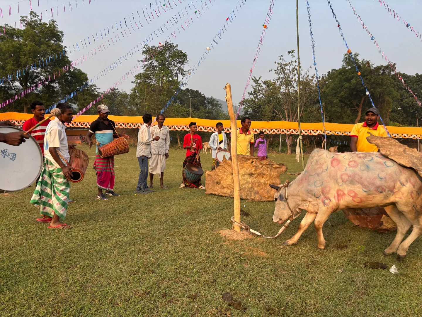 Cultural festivals and events